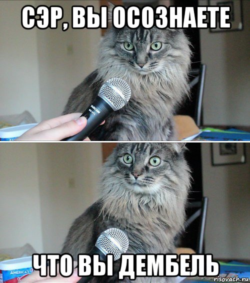 сэр, вы осознаете что вы дембель