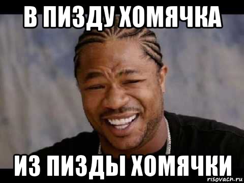 в пизду хомячка из пизды хомячки, Мем Xzibit