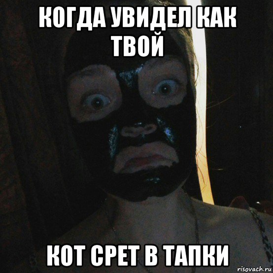 когда увидел как твой кот срет в тапки, Мем Ы