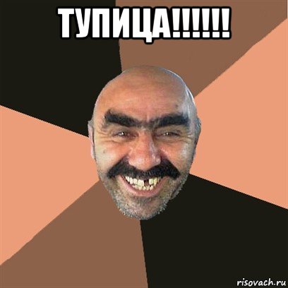 тупица!!!!!! , Мем Я твой дом труба шатал