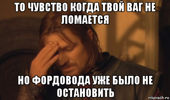 то чувство когда твой ваг не ломается но фордовода уже было не остановить, Мем Закрывает лицо