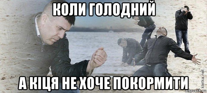 коли голодний а кіця не хоче покормити