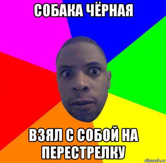 собака чёрная взял с собой на перестрелку