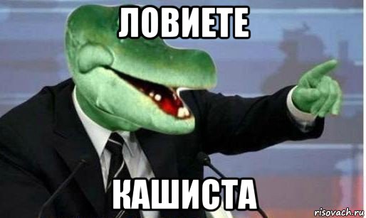 ловиете кашиста