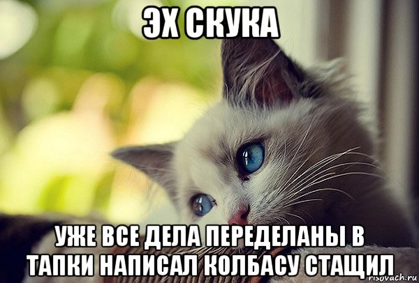 эх скука уже все дела переделаны в тапки написал колбасу стащил