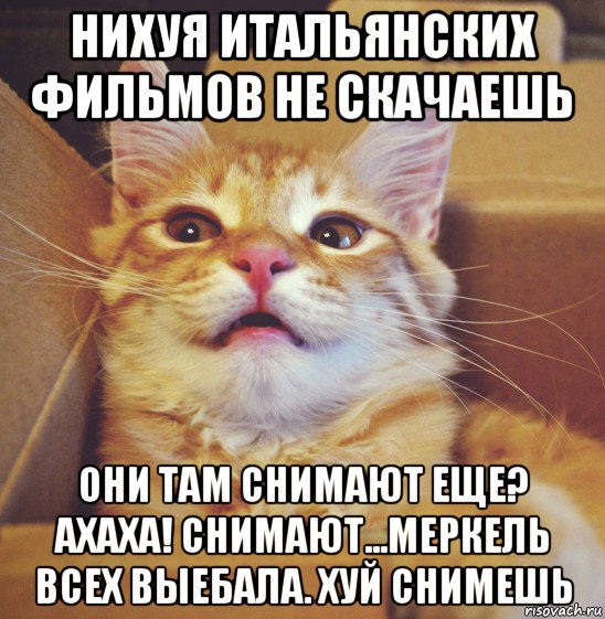 нихуя итальянских фильмов не скачаешь они там снимают еще? ахаха! снимают...меркель всех выебала. хуй снимешь