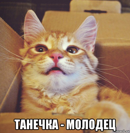  танечка - молодец
