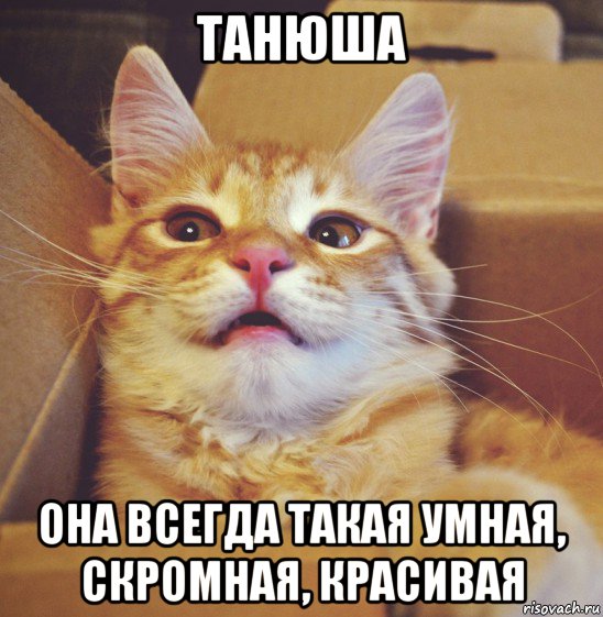 танюша она всегда такая умная, скромная, красивая
