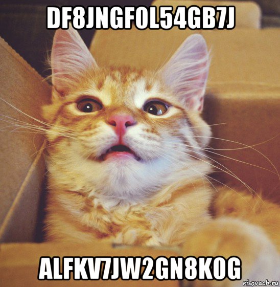 df8jngf0l54gb7j alfkv7jw2gn8k0g