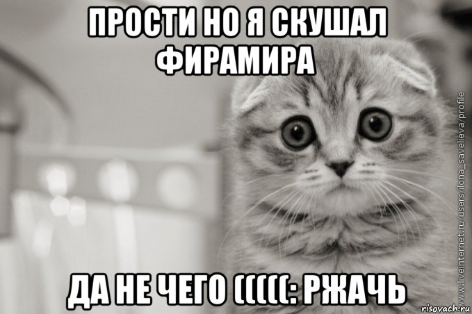 прости но я скушал фирамира да не чего (((((: ржачь, Мем А я Люблю Алису
