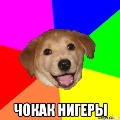  чокак нигеры, Мем Advice Dog