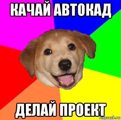 качай автокад делай проект, Мем Advice Dog