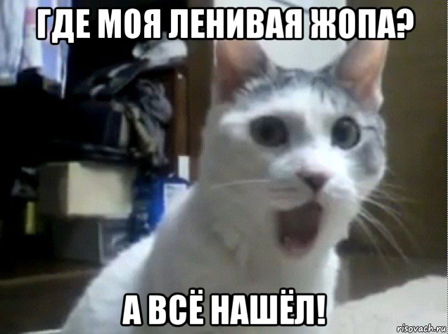 где моя ленивая жопа? а всё нашёл!