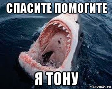 спасите помогите я тону, Мем Акула