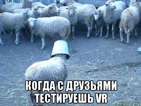  когда с друзьями тестируешь vr
