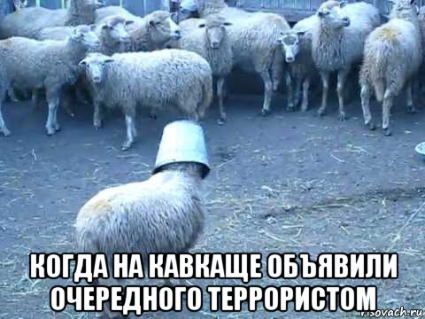  когда на кавкаще объявили очередного террористом