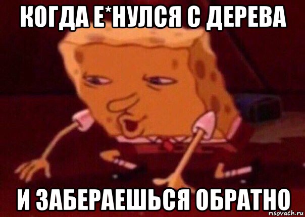 когда е*нулся с дерева и забераешься обратно, Мем    Bettingmemes