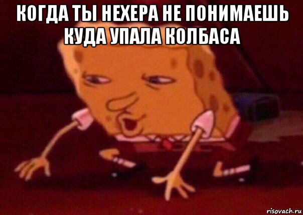 когда ты нехера не понимаешь куда упала колбаса , Мем    Bettingmemes