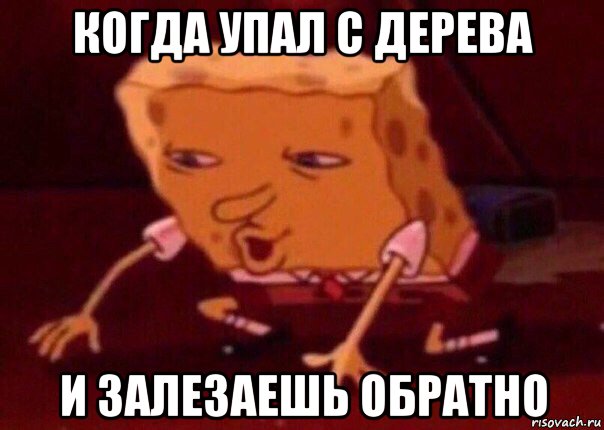 когда упал с дерева и залезаешь обратно, Мем    Bettingmemes