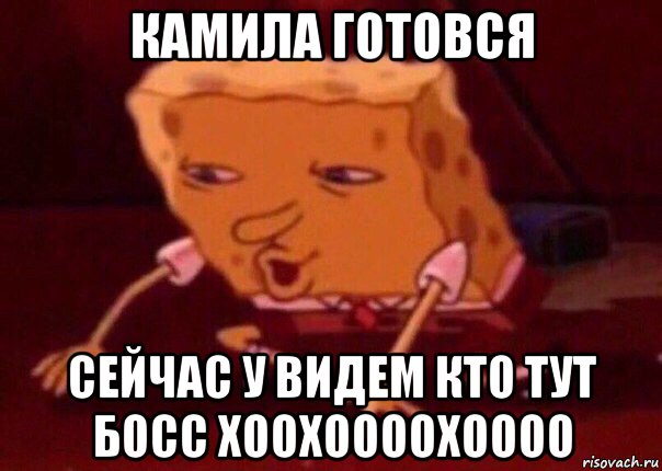 камила готовся сейчас у видем кто тут босс хоохоооохоооо, Мем    Bettingmemes