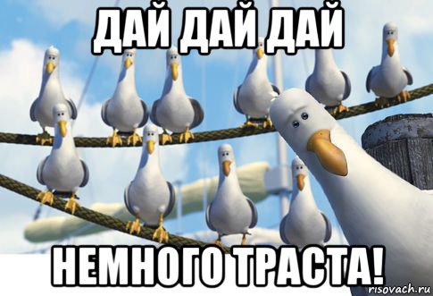 дай дай дай немного траста!