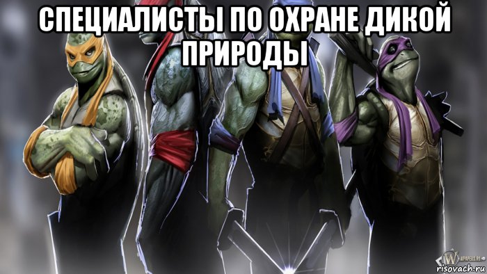 специалисты по охране дикой природы , Мем Черепашки ниндзя