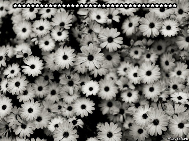 ************************************* 