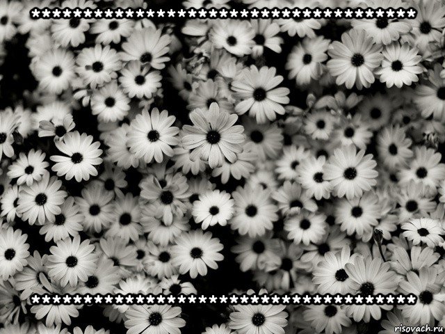 ************************************* *************************************