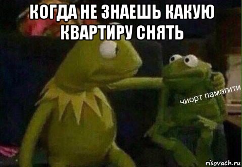когда не знаешь какую квартиру снять 