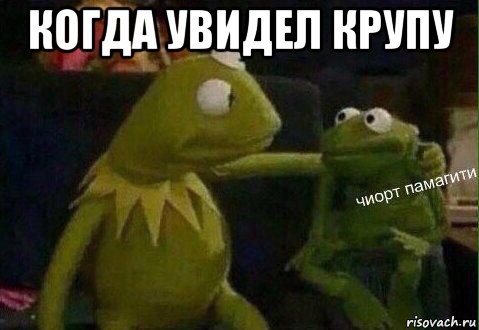 когда увидел крупу 