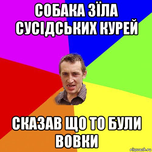 собака зїла сусідських курей сказав що то були вовки, Мем Чоткий паца