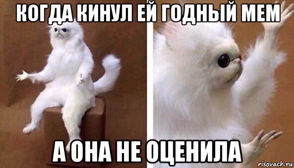 когда кинул ей годный мем а она не оценила, Мем Чучело кота