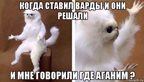 когда ставил варды и они решали и мне говорили где аганим ?, Мем Чучело кота