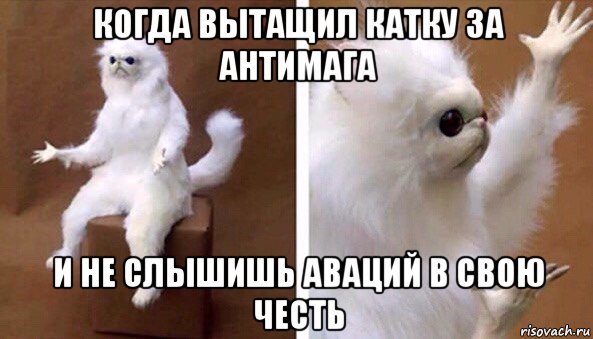 когда вытащил катку за антимага и не слышишь аваций в свою честь, Мем Чучело кота