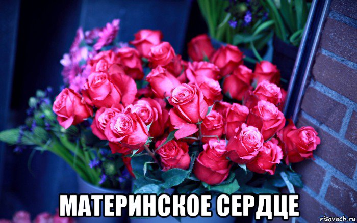  материнское сердце