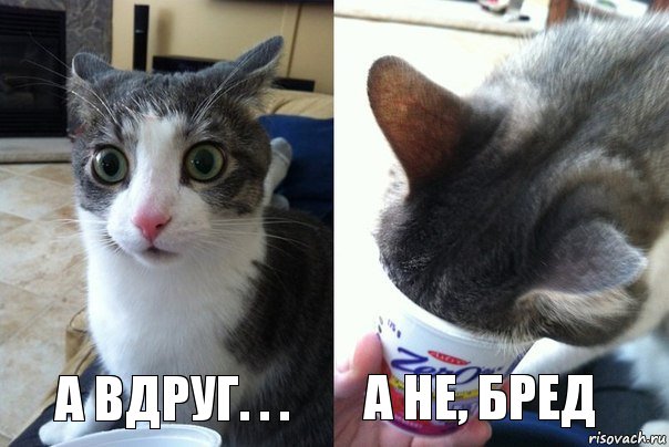 а вдруг. . . а не, бред, Комикс  Да не бред-какой-то (2 зоны)