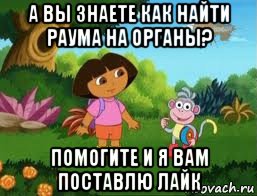 а вы знаете как найти раума на органы? помогите и я вам поставлю лайк