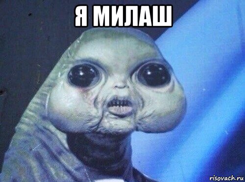 я милаш 