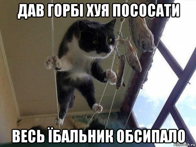 дав горбі хуя пососати весь їбальник обсипало, Мем Давненько не делал их