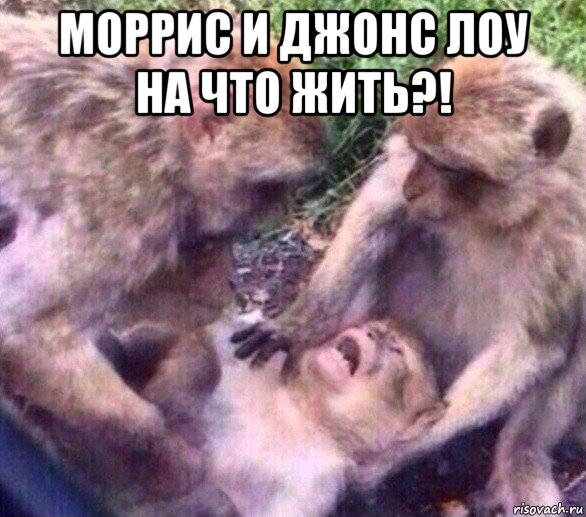 моррис и джонс лоу на что жить?! 