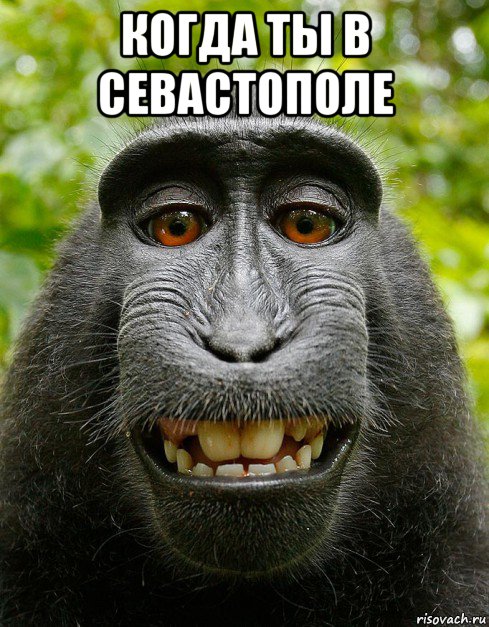 когда ты в севастополе 