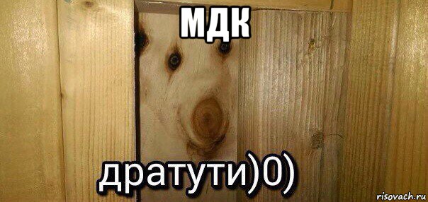 мдк , Мем  Дратути