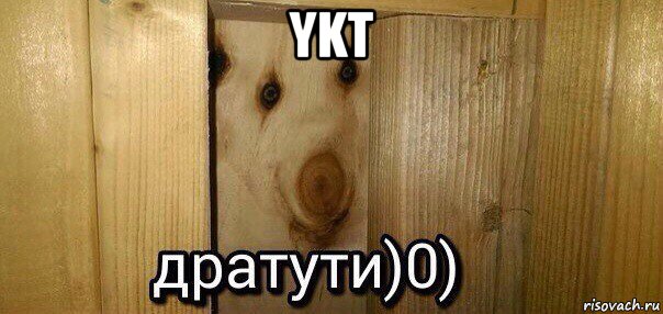 ykt , Мем  Дратути