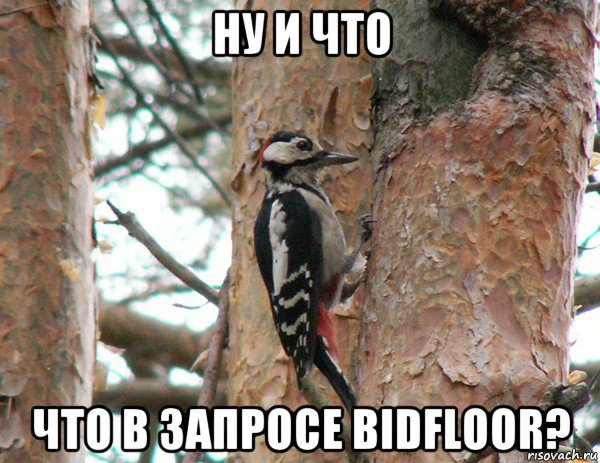 ну и что что в запросе bidfloor?, Мем дятел