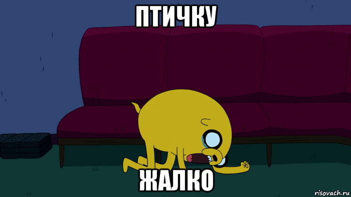 птичку жалко, Мем     джейк плачет
