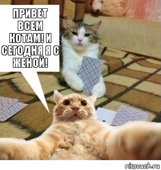 привет всем котам! и сегодня я с женой!