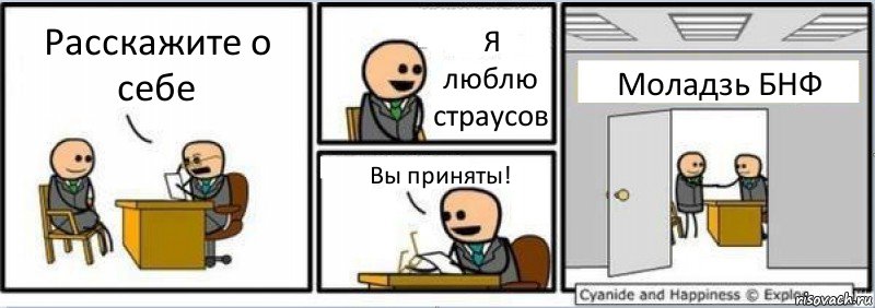 Расскажите о себе Я люблю страусов Вы приняты! Моладзь БНФ, Комикс Собеседование на работу