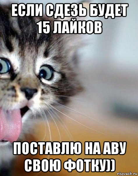 если сдезь будет 15 лайков поставлю на аву свою фотку))