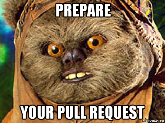 prepare your pull request, Мем Эвок