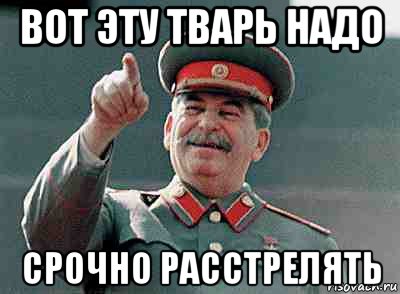 вот эту тварь надо срочно расстрелять